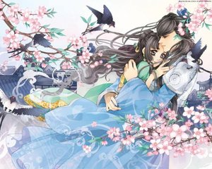 爱奇艺视频